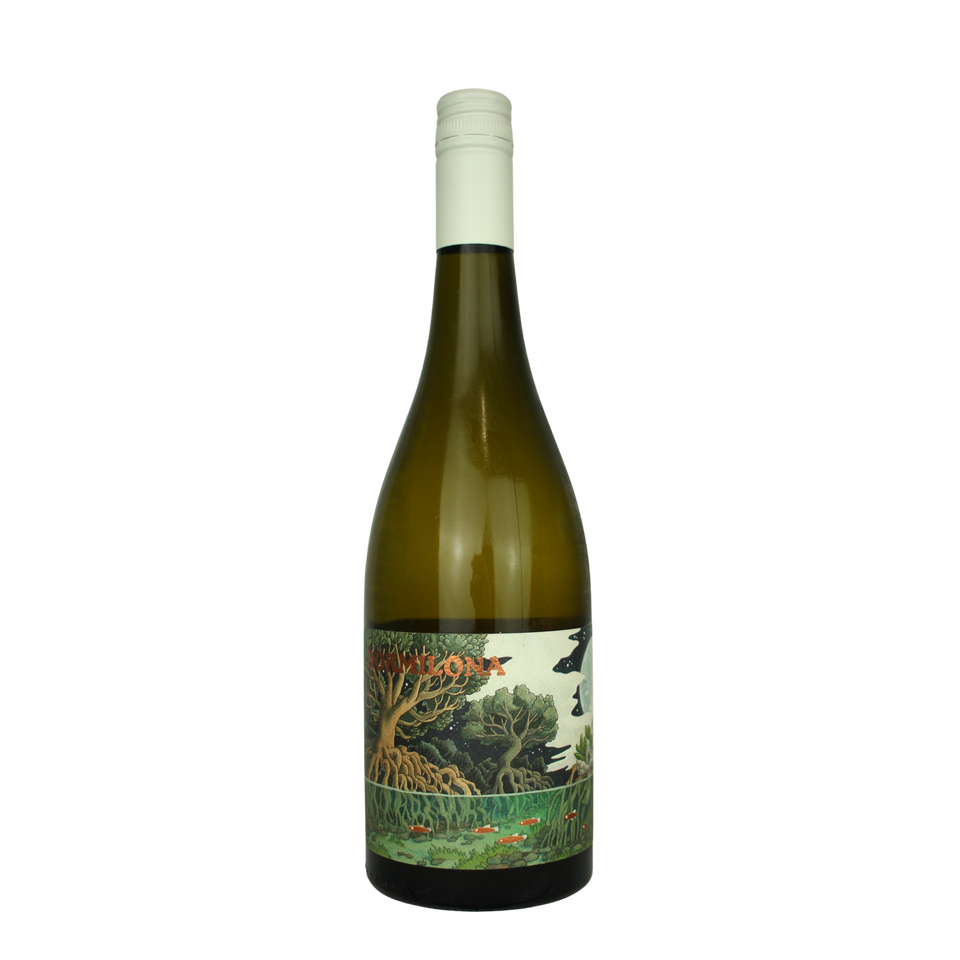 2024 Dormilona Chenin Blanc