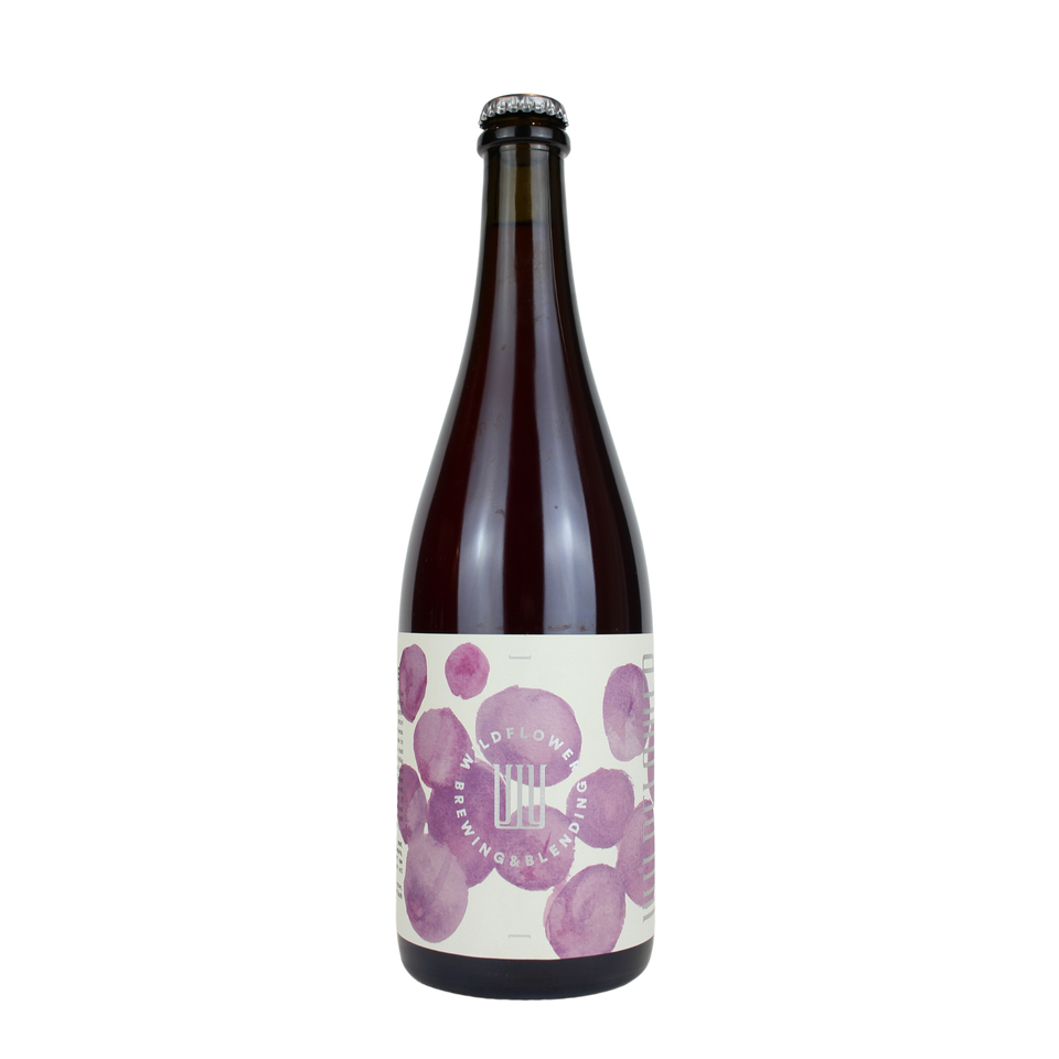 Wildflower St Phoebe 2022