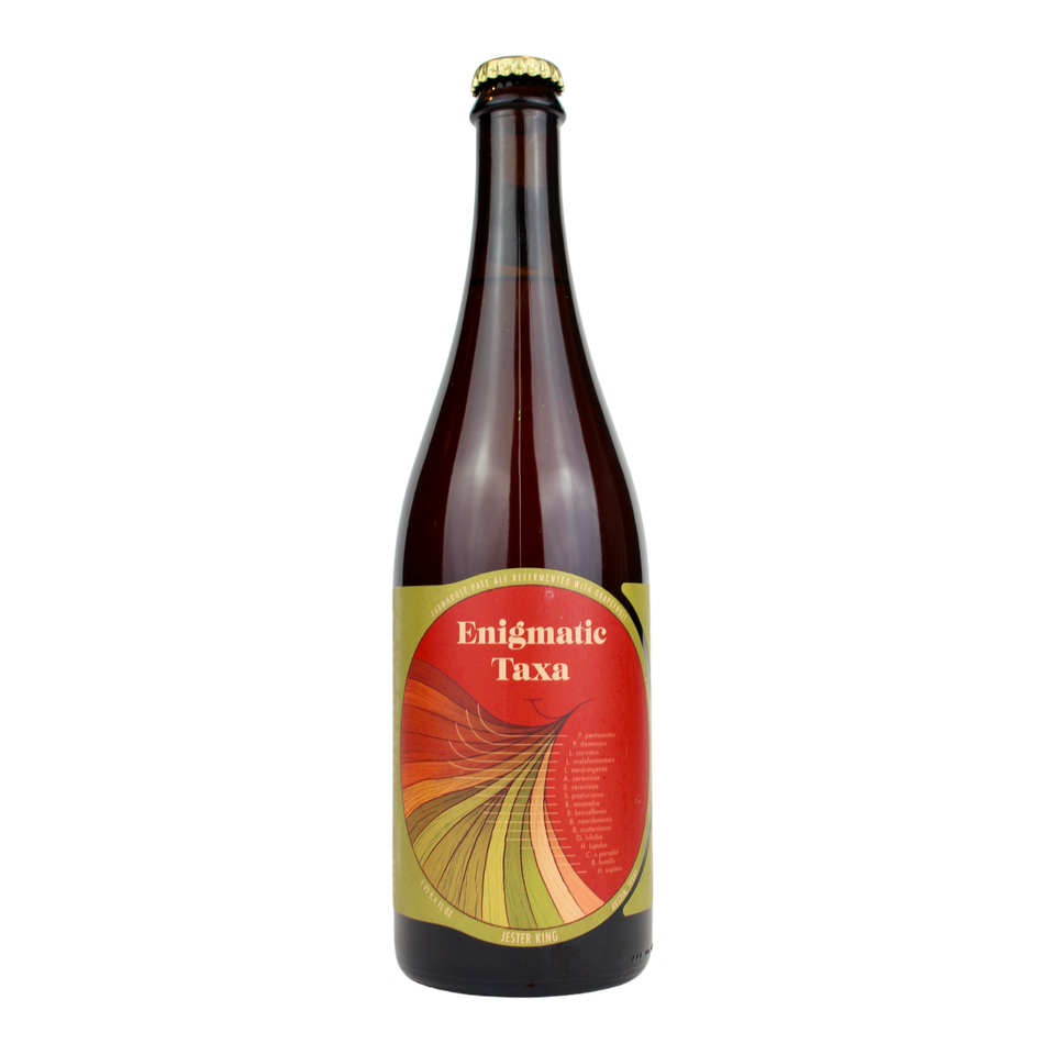Jester King Enigmatic Taxa