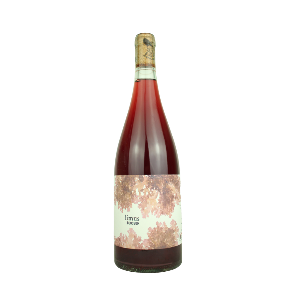 2025 Limus Blossom