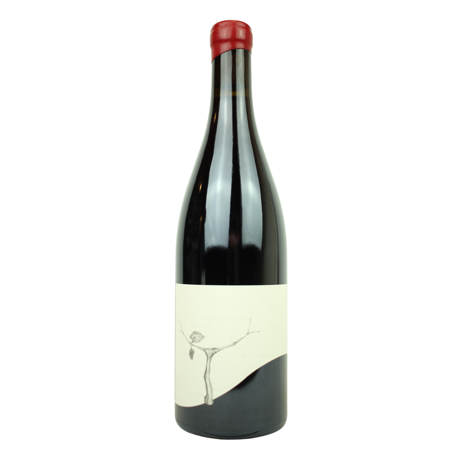 2023 Taturry Banjo Pinot Noir