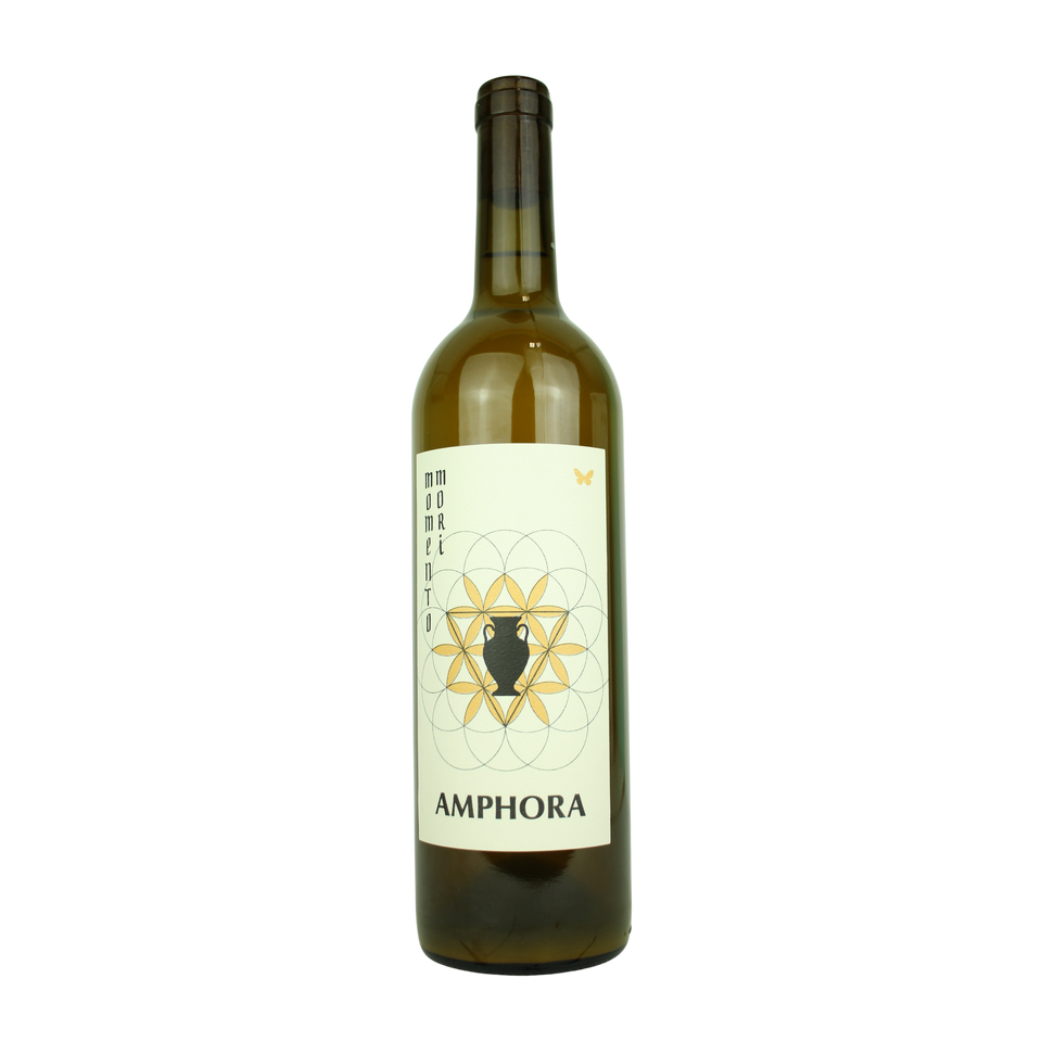 2024 Momento Mori Amphora