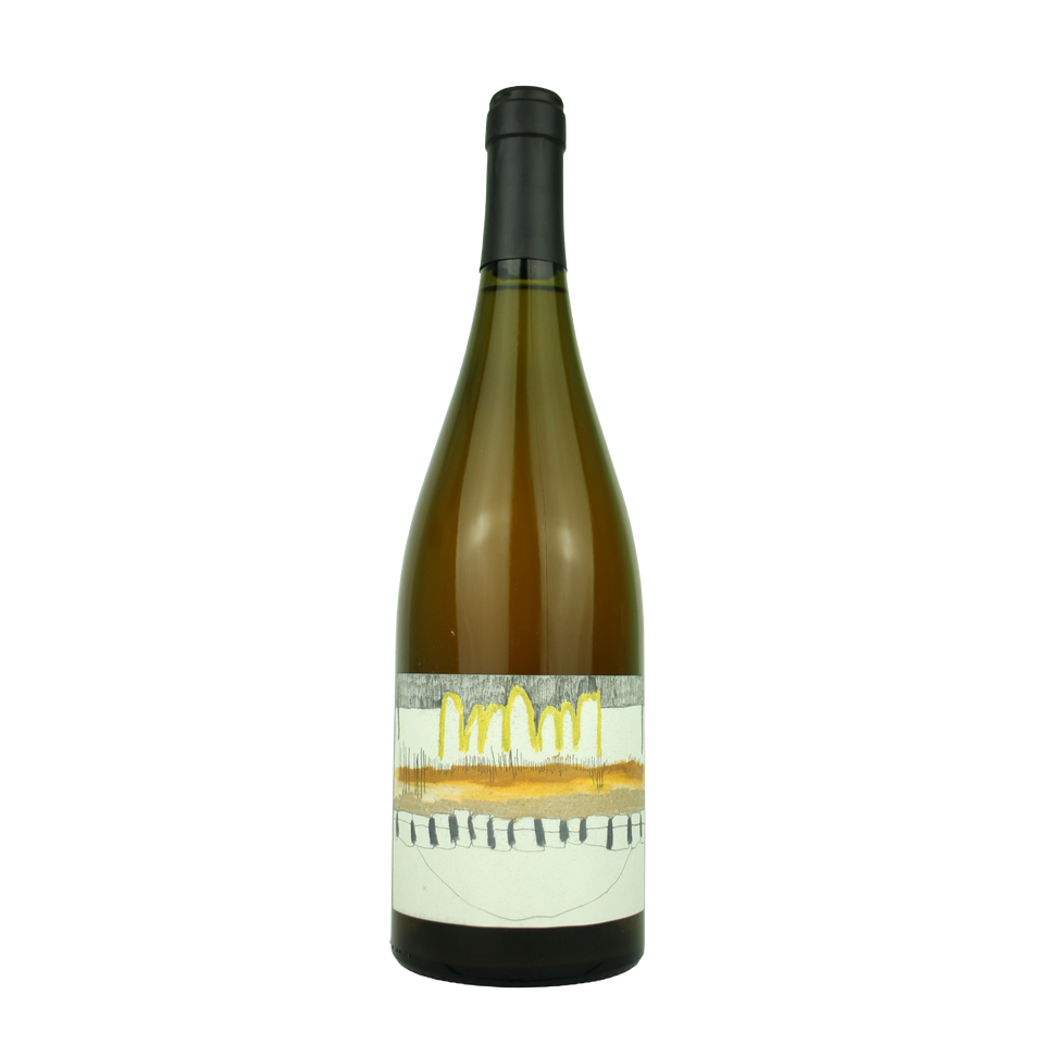 2023 Rasa Dusty Miller