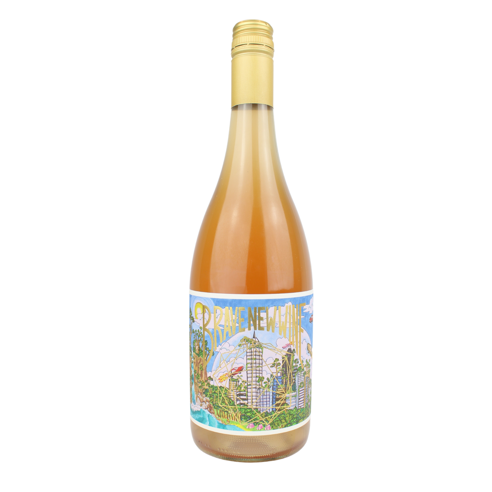 2021 Brave New Wine Pystopia