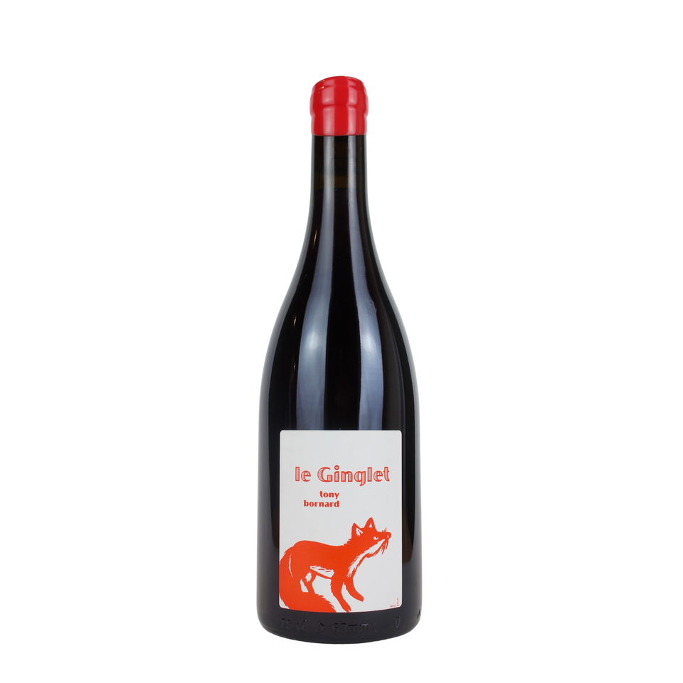 2019 Domaine Bornard Trousseau Le Ginglet