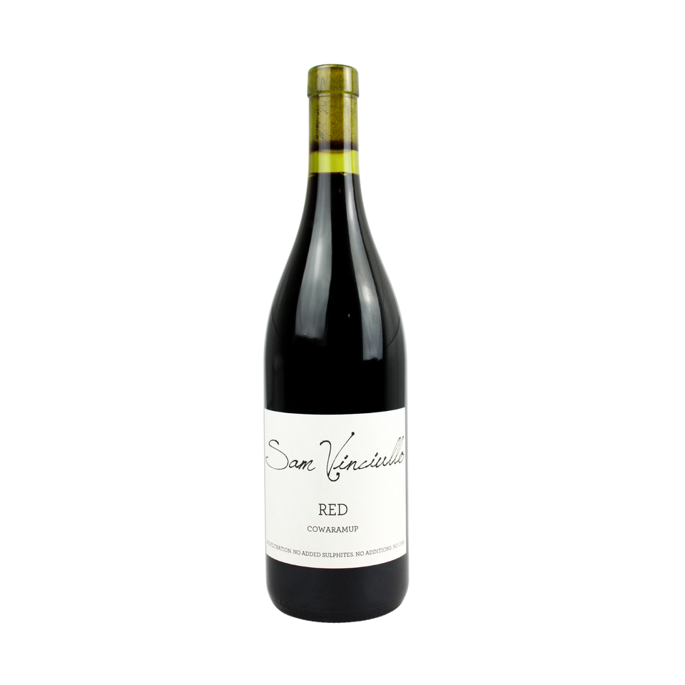 2019 Sam Vinciullo Red