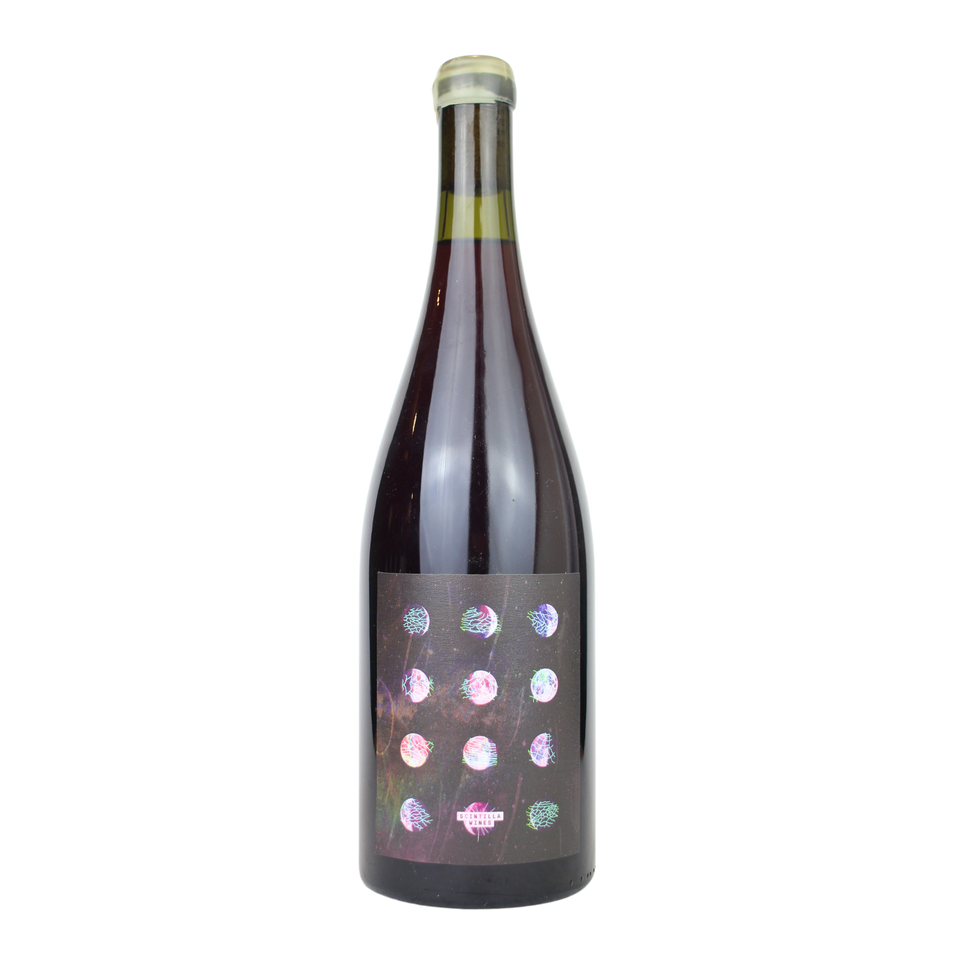 2022 Scintilla Forest Pinot x Pinot