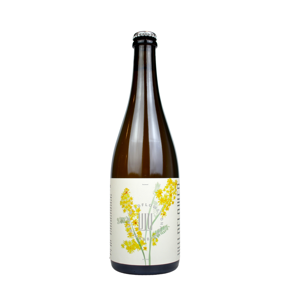 Wildflower Field Work: Wattle Blossom