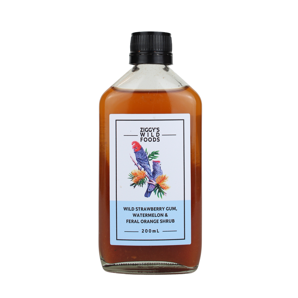 Ziggy's Wild Strawberry Gum, Watermelon & Feral Orange Shrub