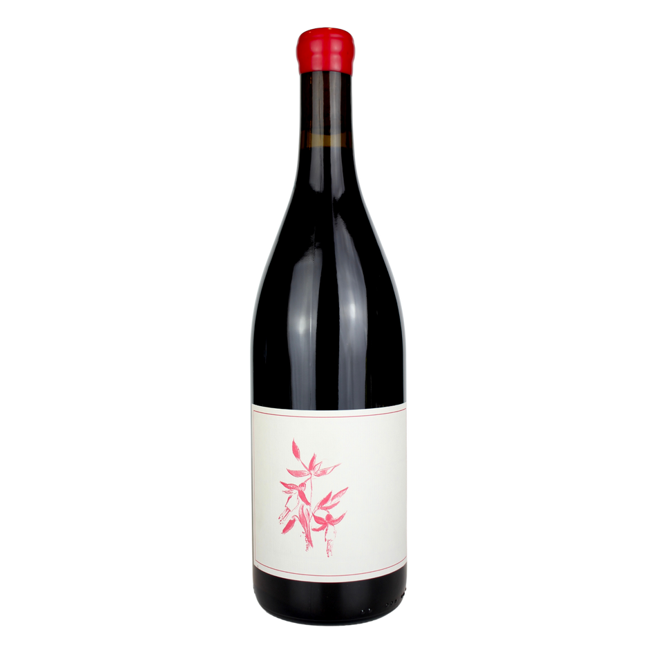2020 Arnot-Roberts Peter Martin Ray Vineyard Pinot Noir