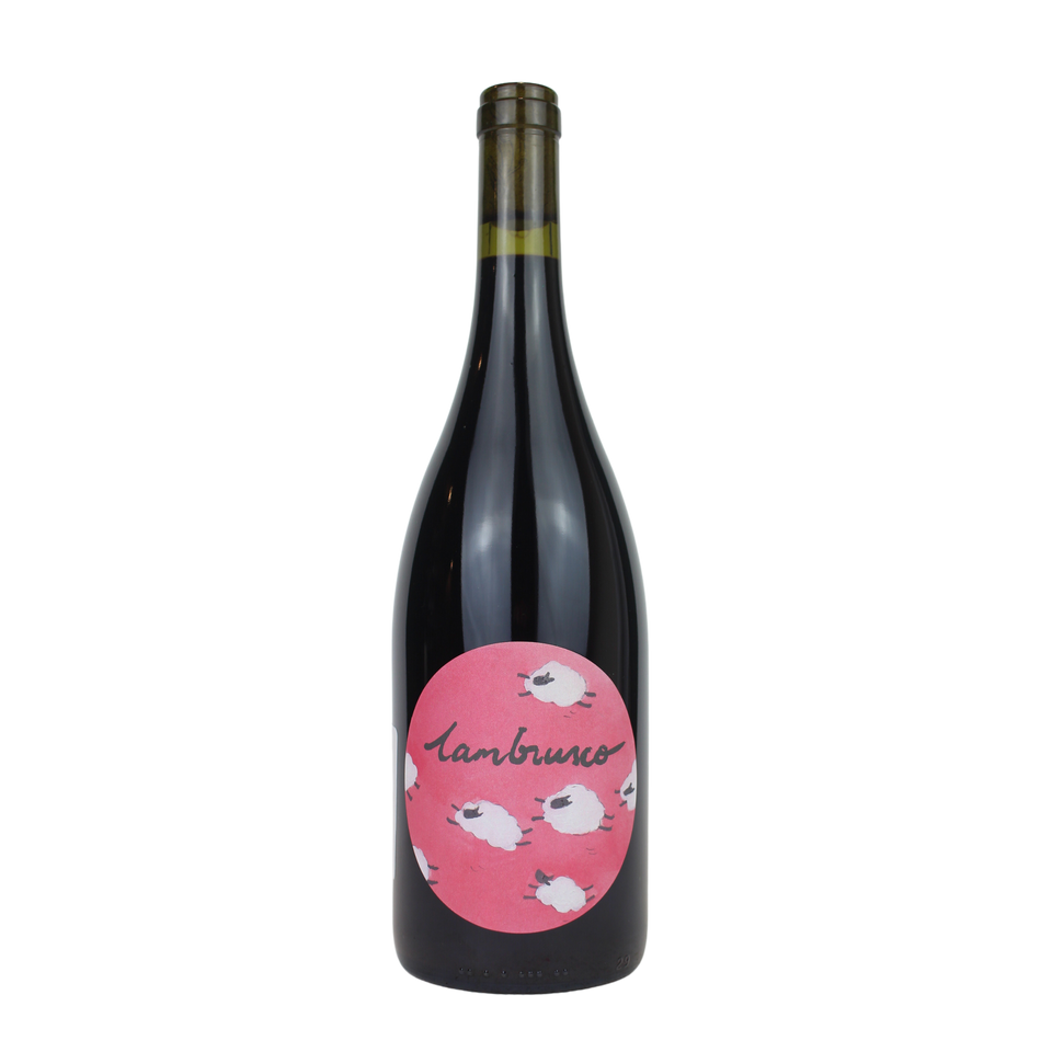 2022 I'll fly away... Lambrusco