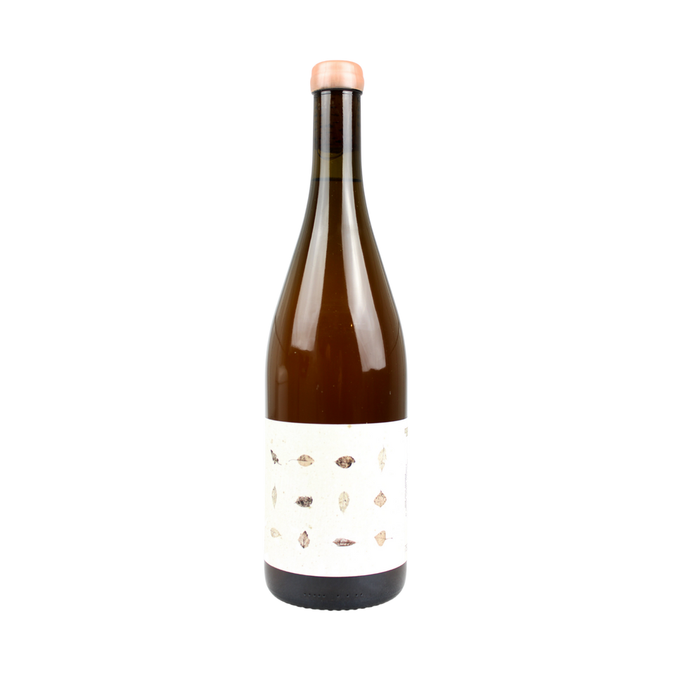 2019 Scintilla Voile