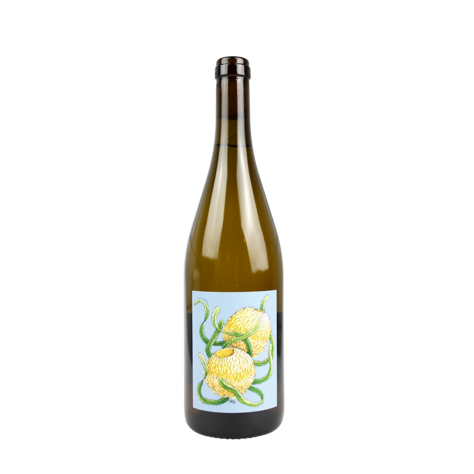 2020 Borachio Chardonnay