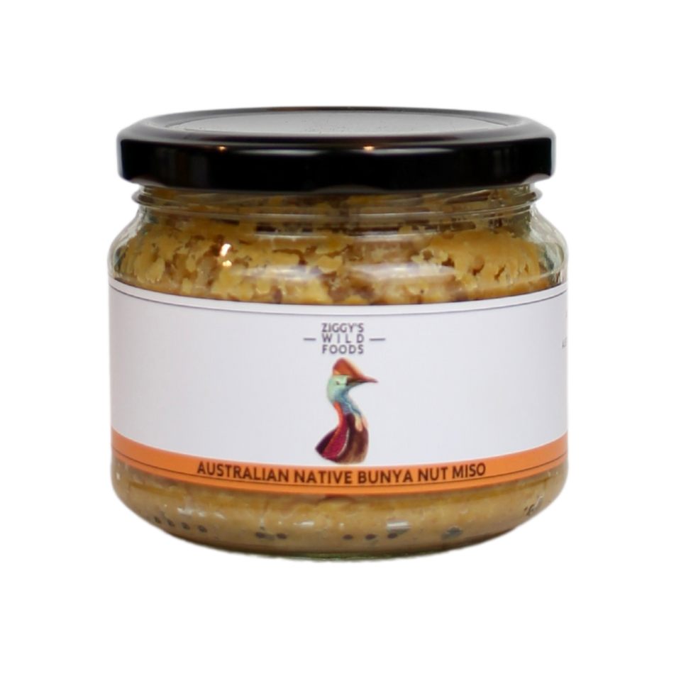 Ziggy's Native Bunya Nut Miso