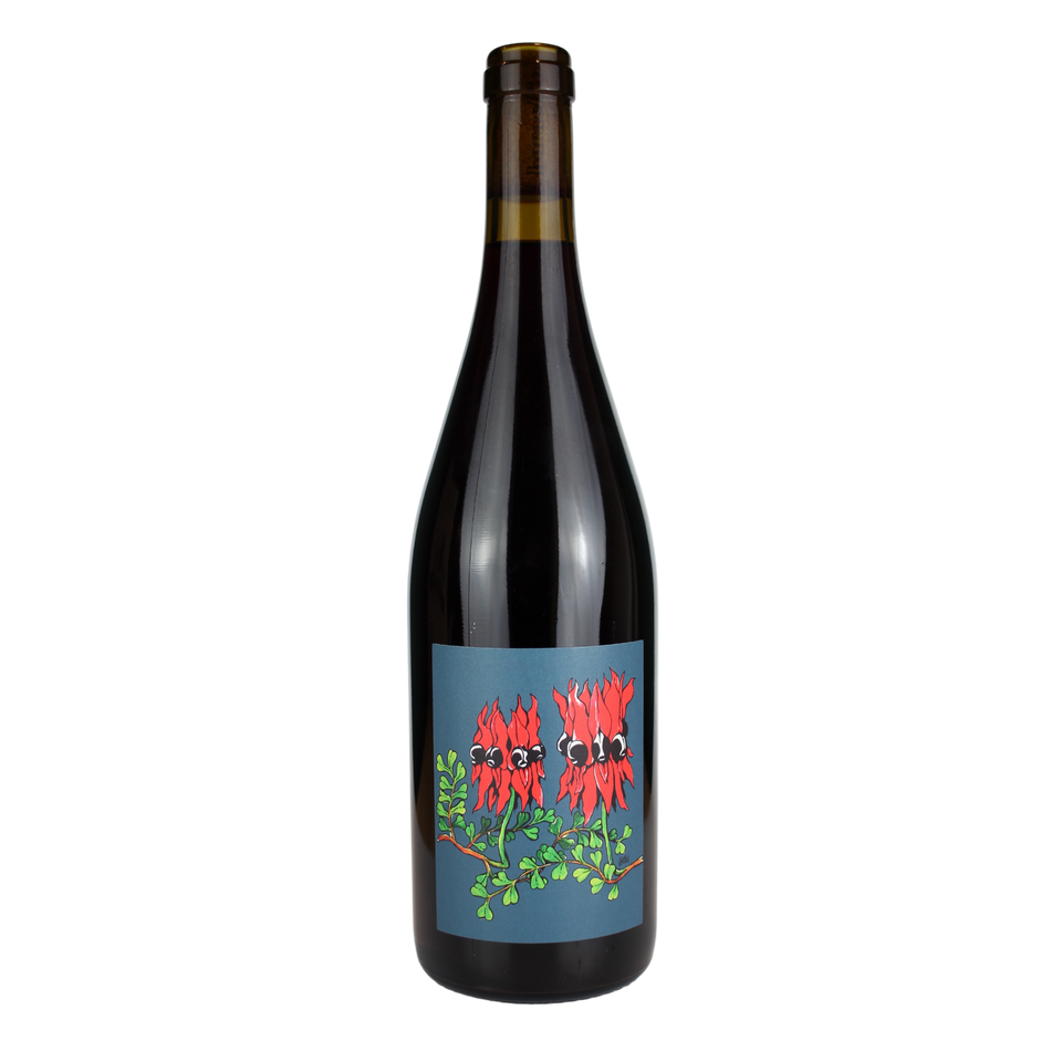2021 Borachio Sangiovese