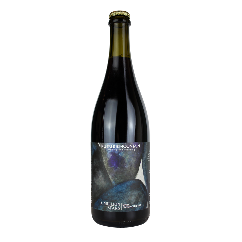 Future Mountain A Million Stars Dark Farmhouse Ale