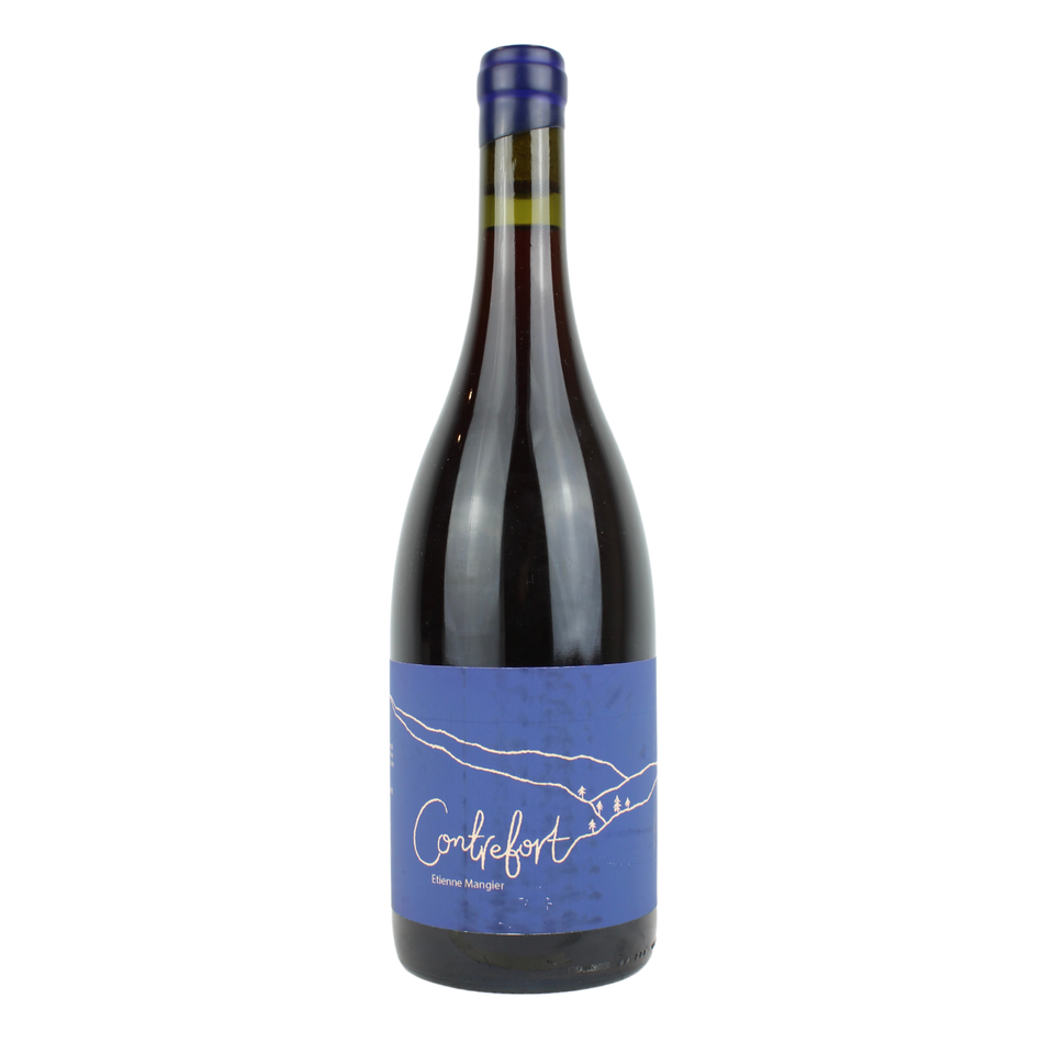 2020 Contrefort Pinot Noir