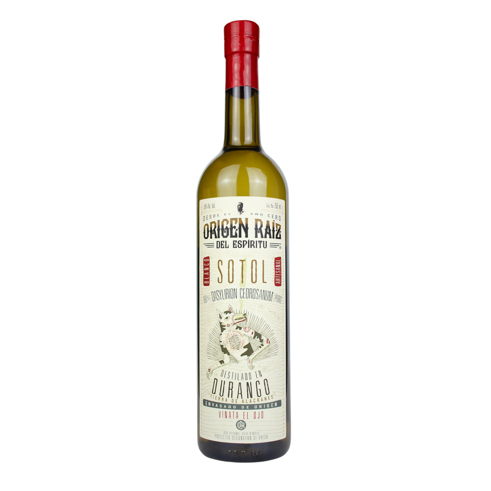 Origen Raíz Sotol Dasylirion Cedrosanum
